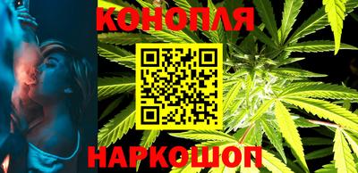 гидра Заводоуковск