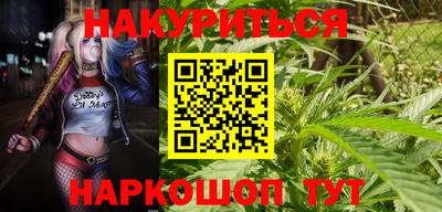гидра Заводоуковск