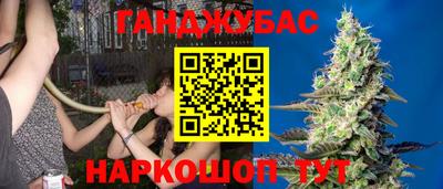 эйфоретик Заволжье