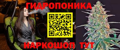 гидра Заводоуковск