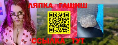 гидра Заводоуковск