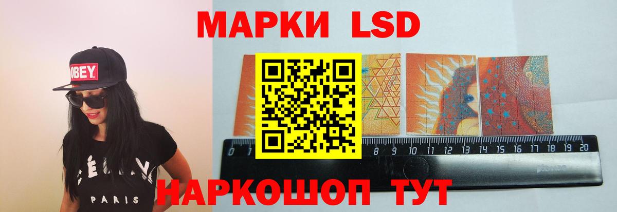 Альфа ПВП Новоалтайск
